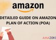 Detailed Guide On Amazon Plan Of Action - POA